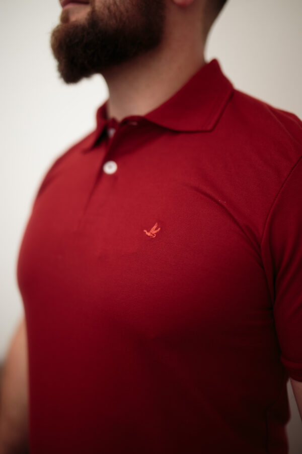 CAMISA POLO BROOKSFIELD