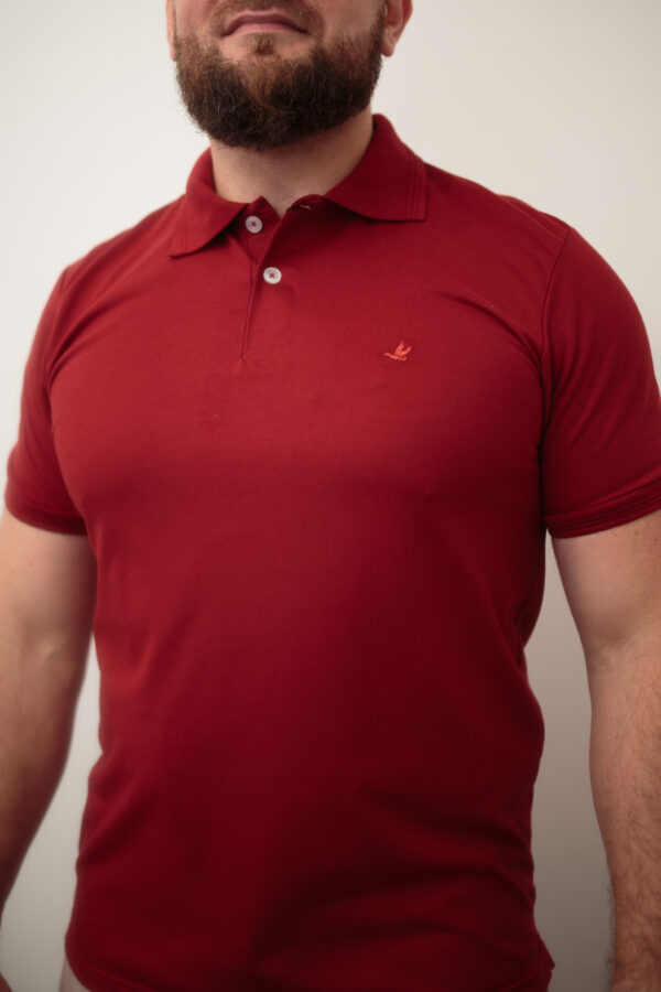 CAMISA POLO BROOKSFIELD