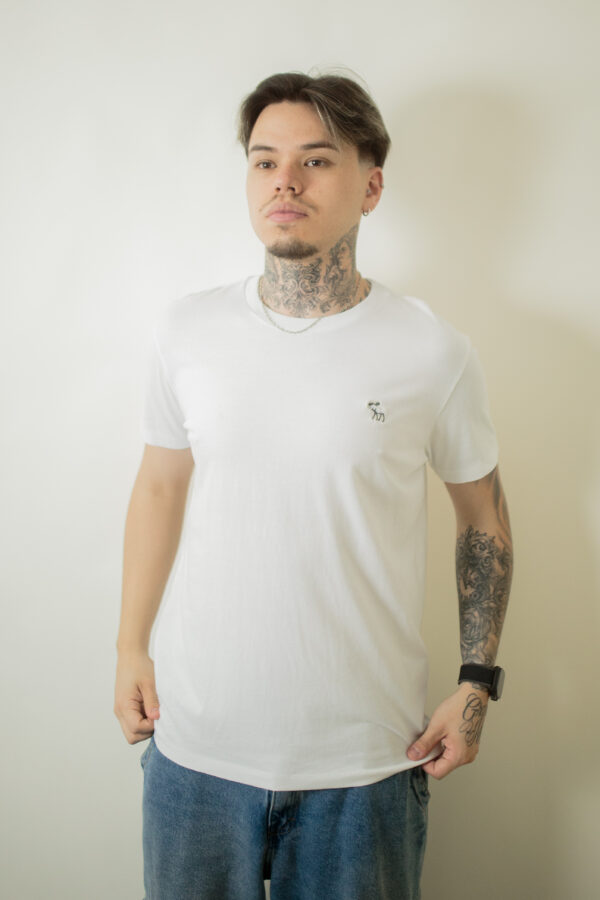 CAMISA ABERCROMBIE