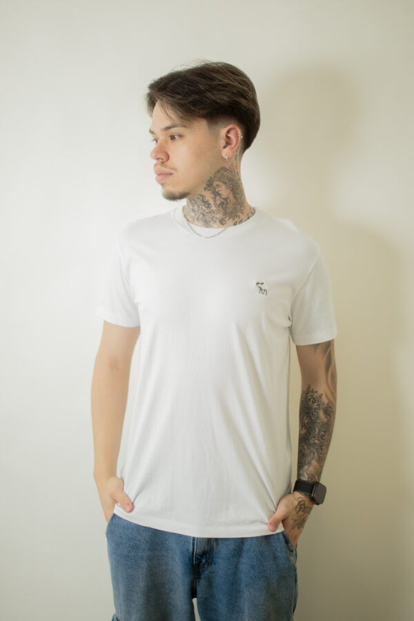 CAMISA ABERCROMBIE
