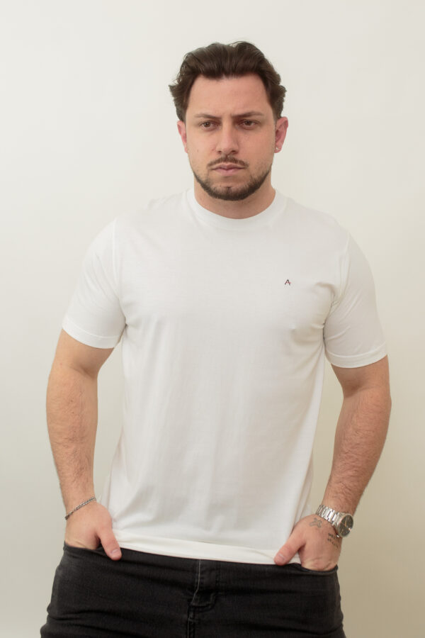 CAMISA ARAMIS