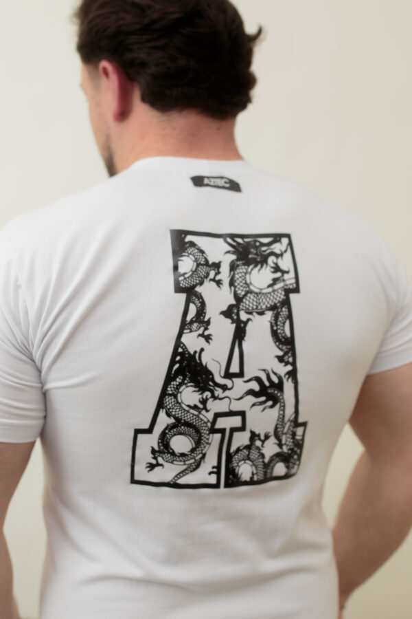 CAMISA AZTEC